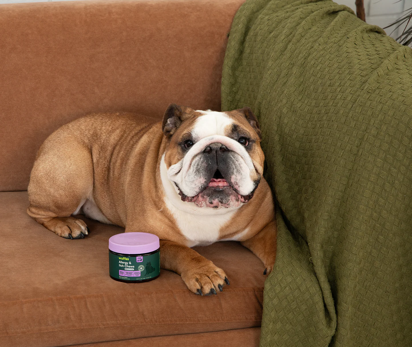 Science-Backed Care for Happy Tails