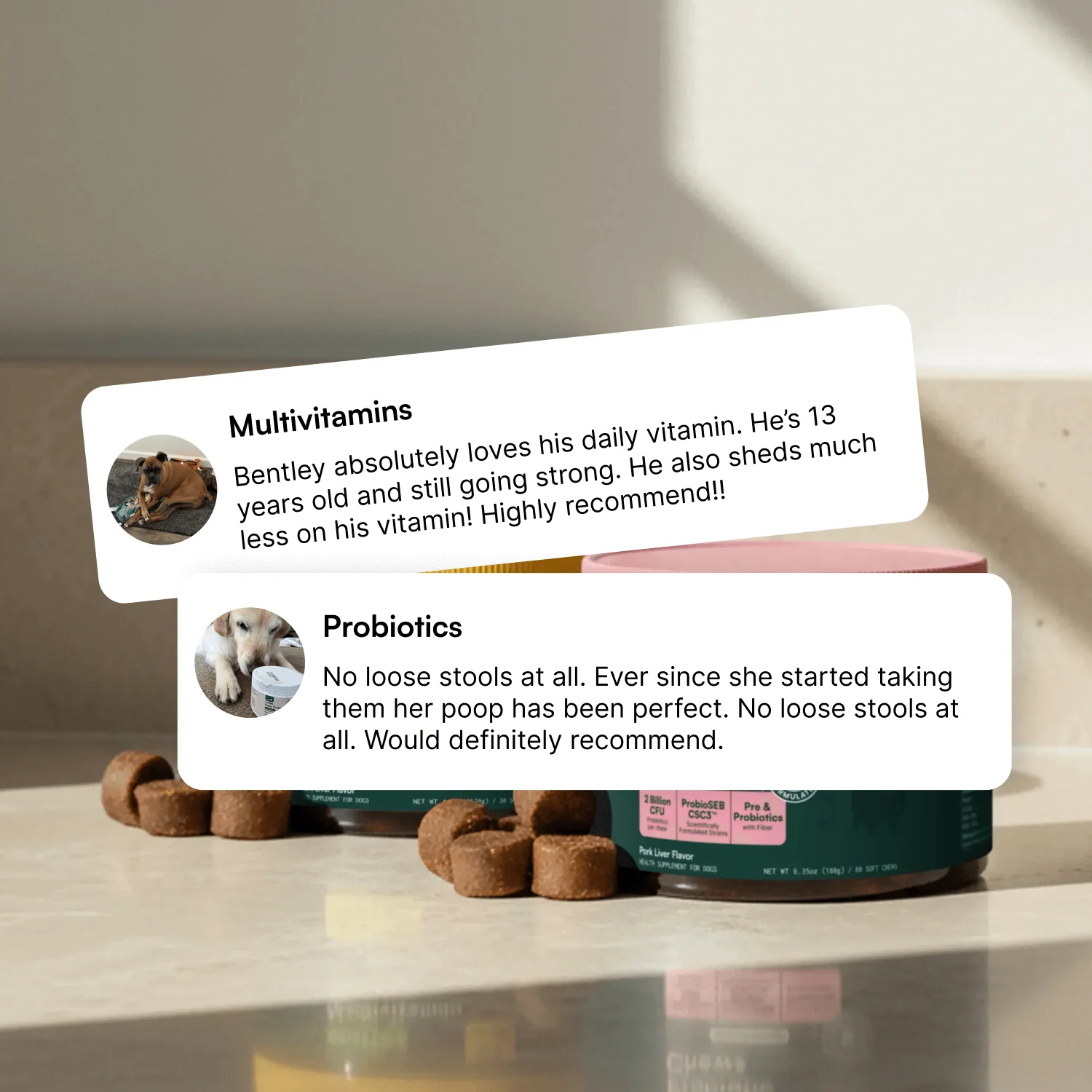 Multivitamin Chews + Probiotic Chews - Image 5