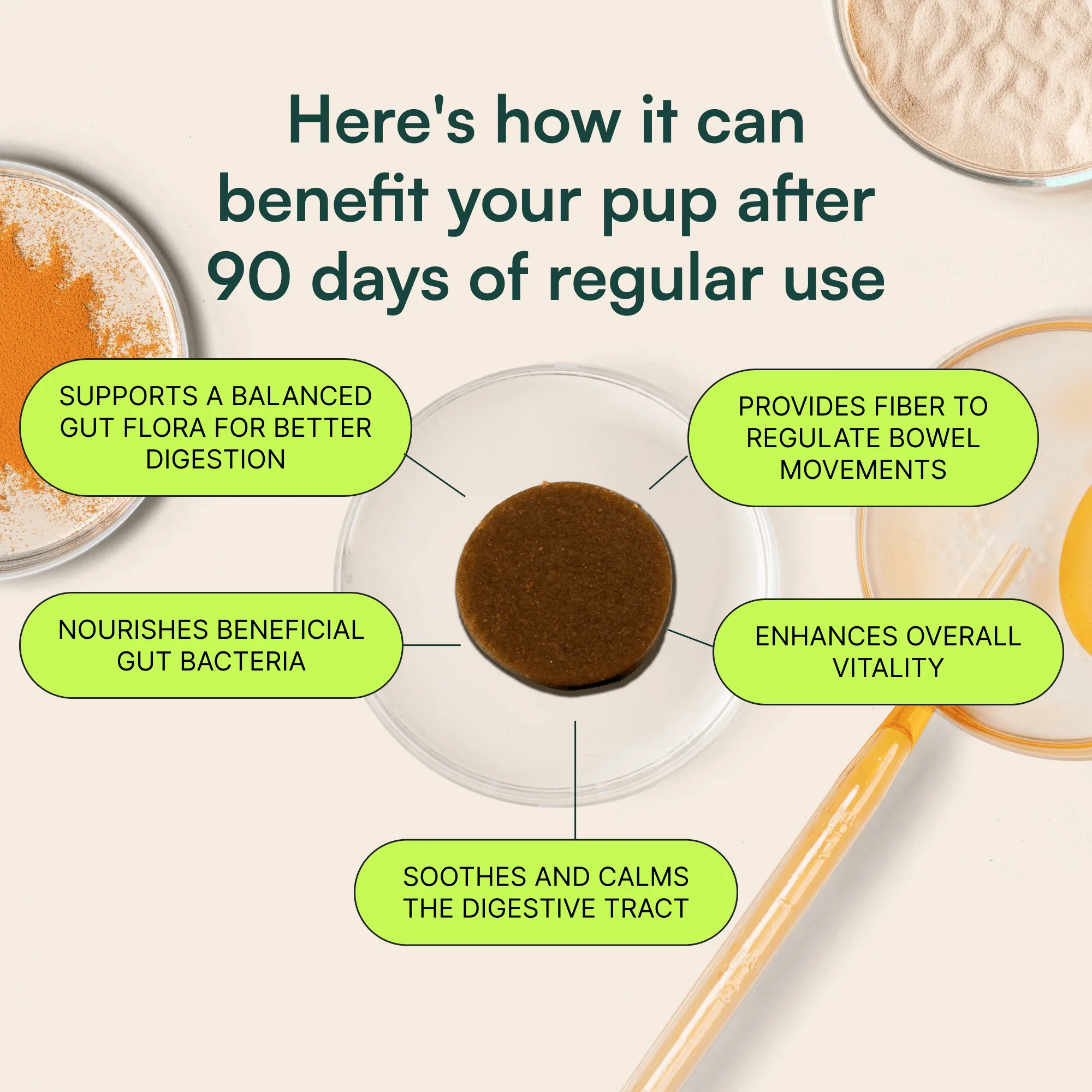 Probiotic Chews - Image 3