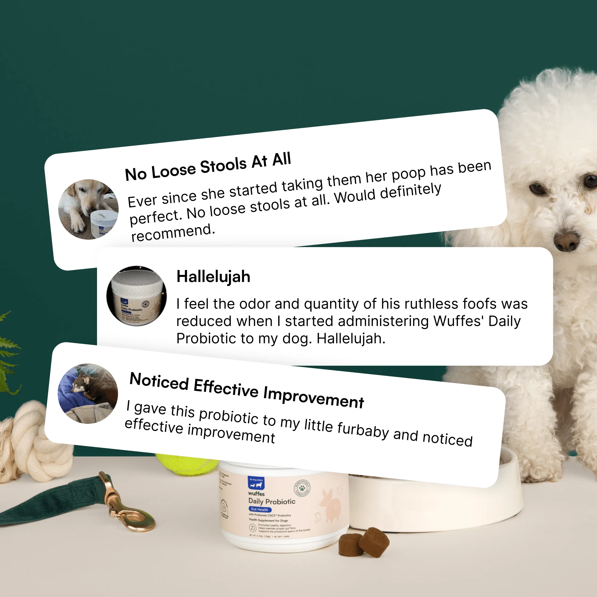 Probiotic Chews - Image 7