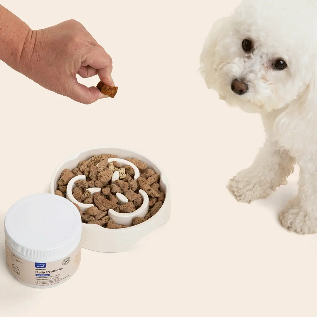 Probiotic Chews - Image 9